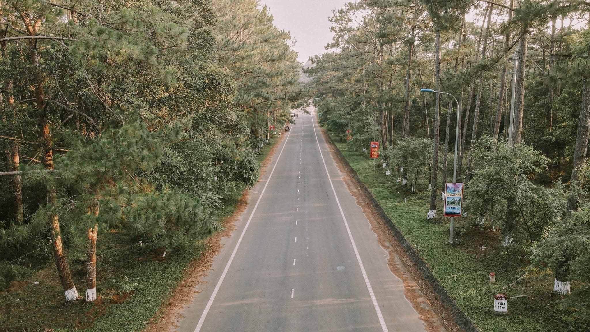 Dạo chơi giữa rừng thông Măng Đen