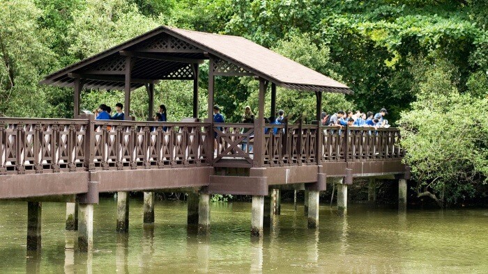Khu bảo tồn thiên nhiên đất ngập nước Sungei Buloh