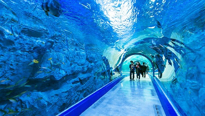 Thuỷ cung Aqua Planet trên đảo Jeju