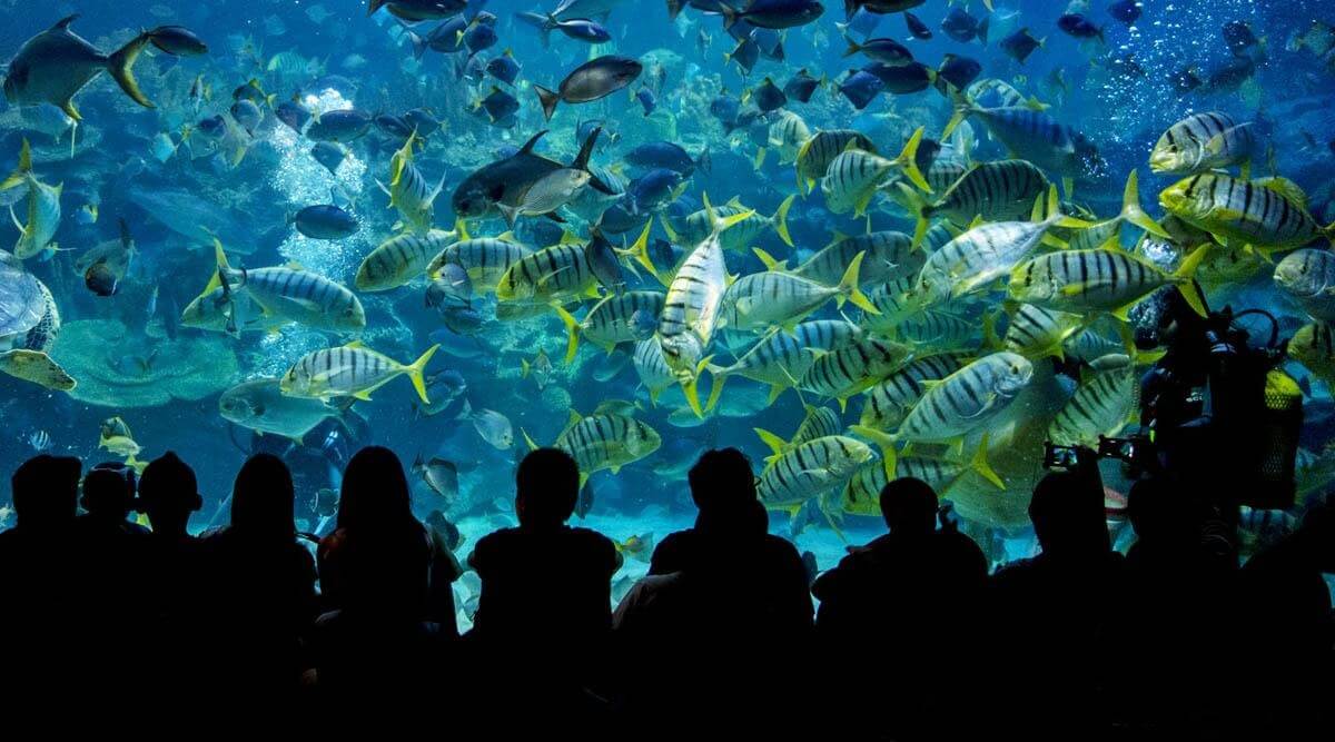 Thuỷ cung Aquaria KLCC