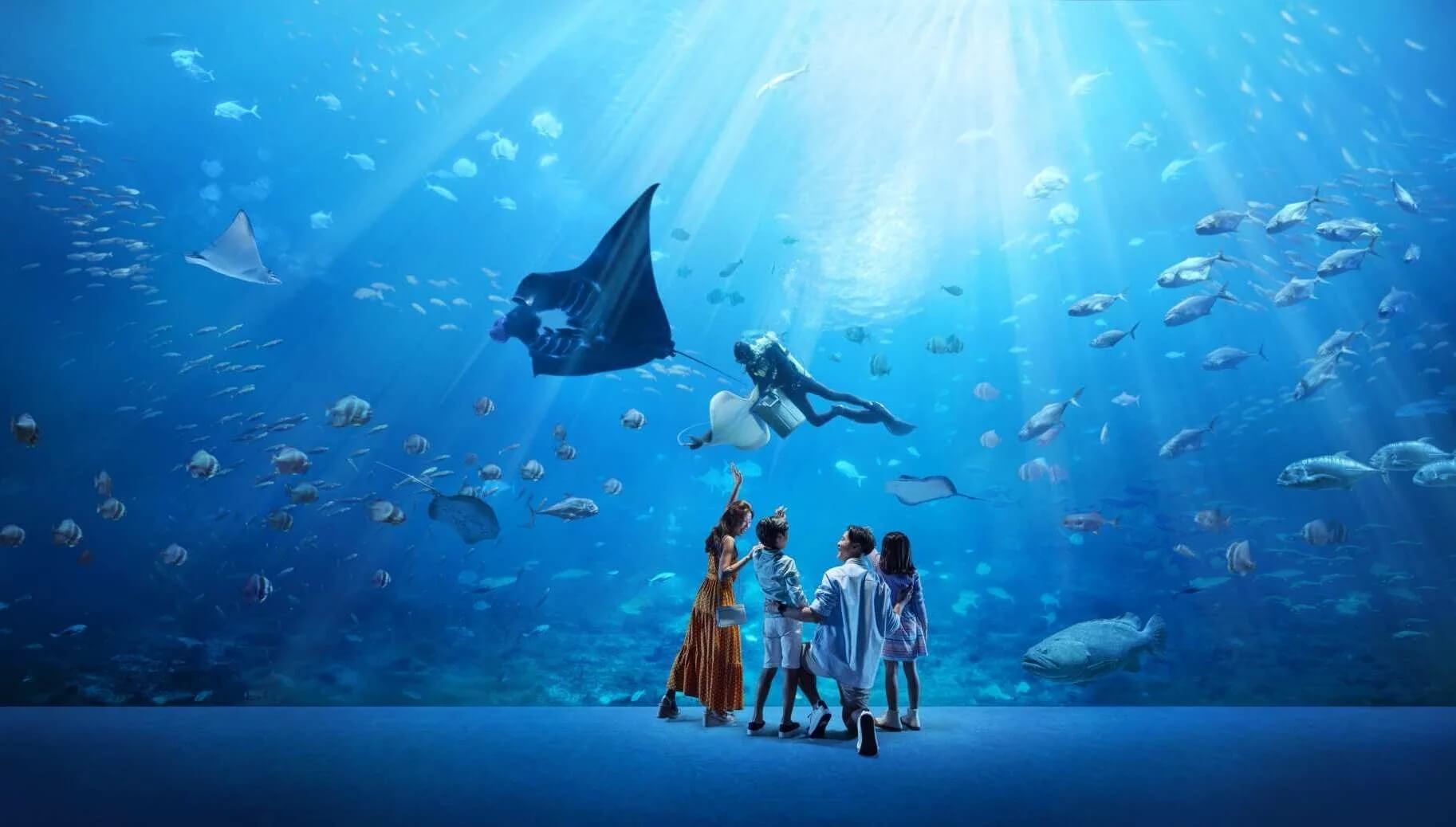 Thủy cung S.E.A Aquarium