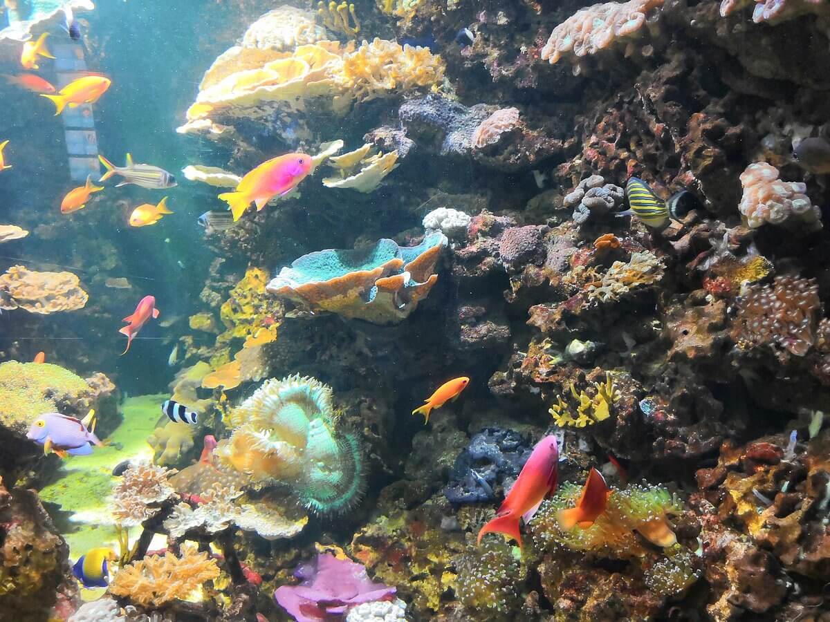 Thủy cung SEA LIFE Munich